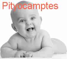 baby Pityocamptes